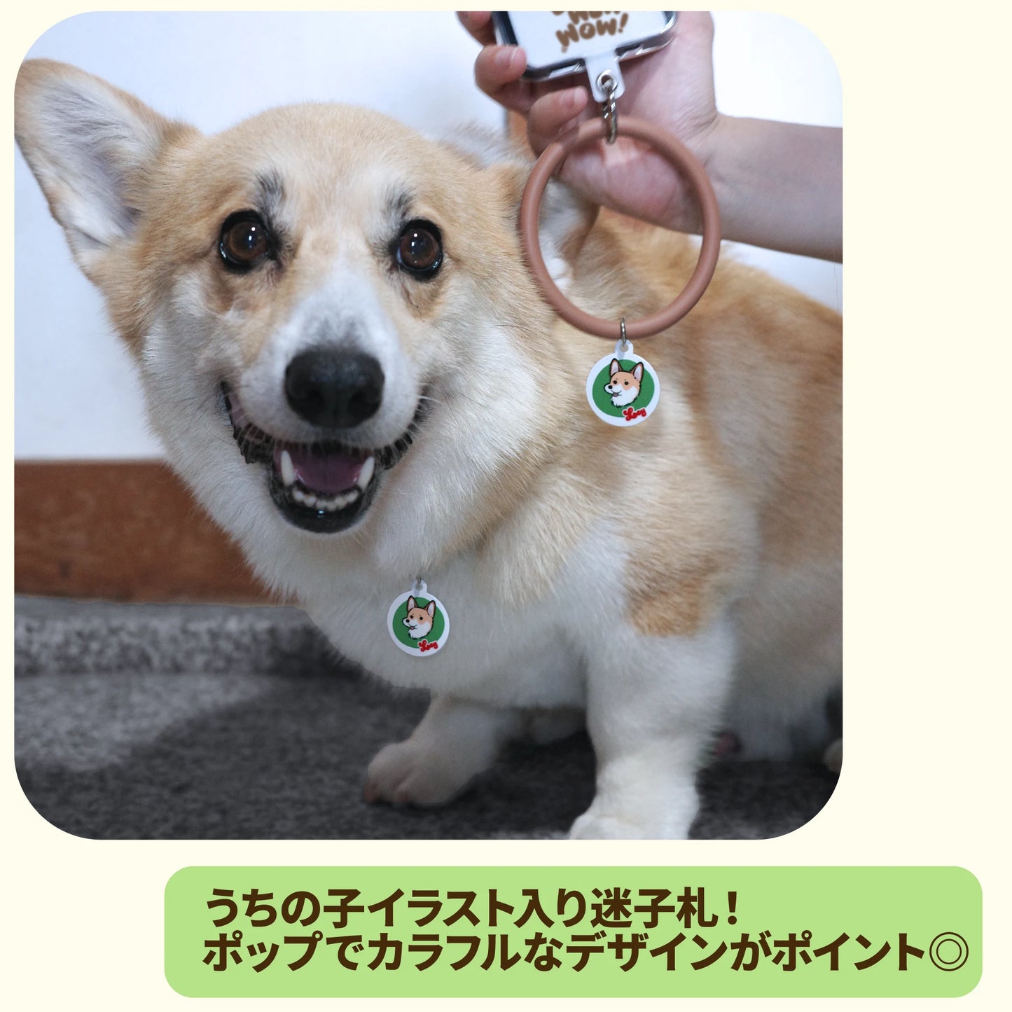 迷子札【8月寄付つき限定アイテム】