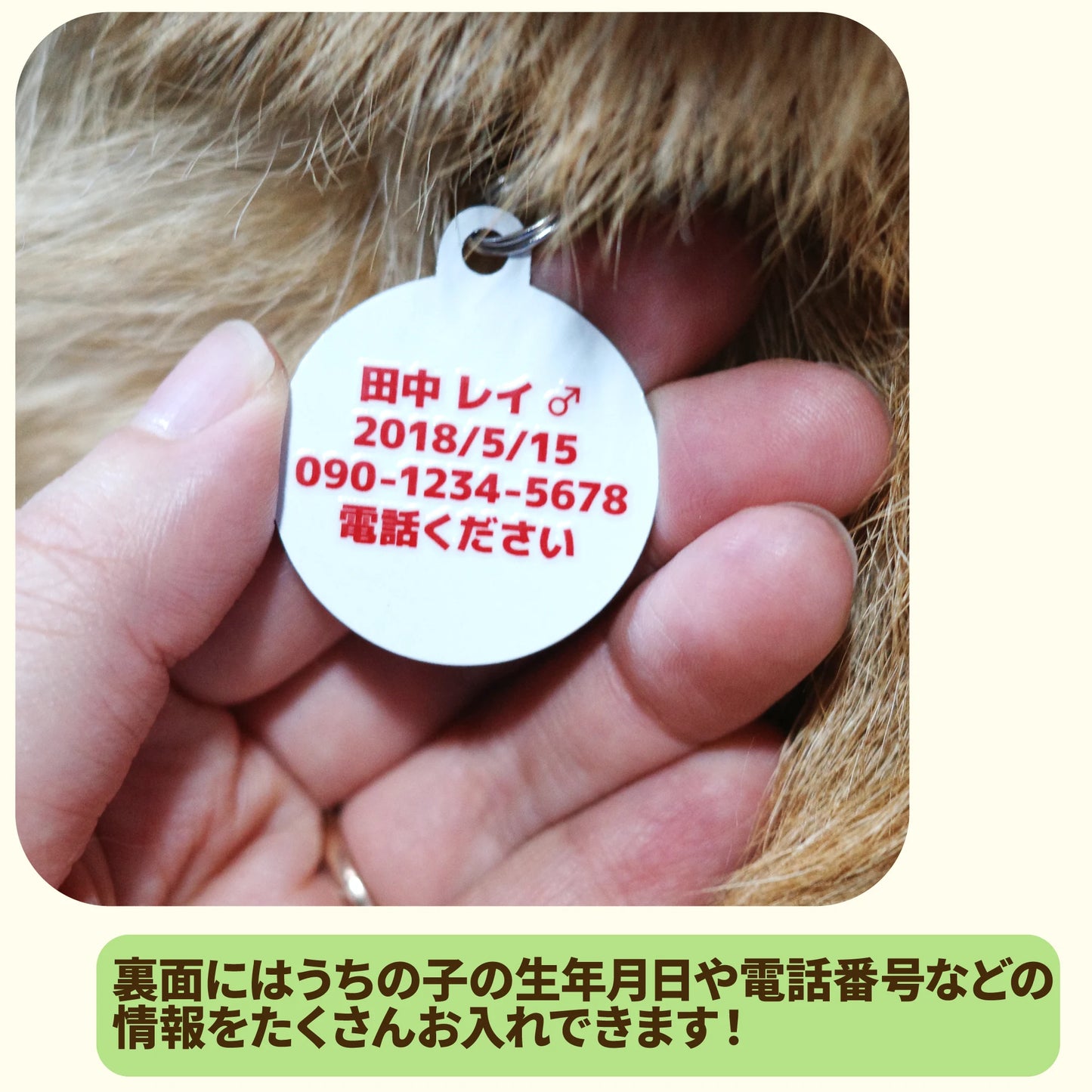 迷子札【8月寄付つき限定アイテム】