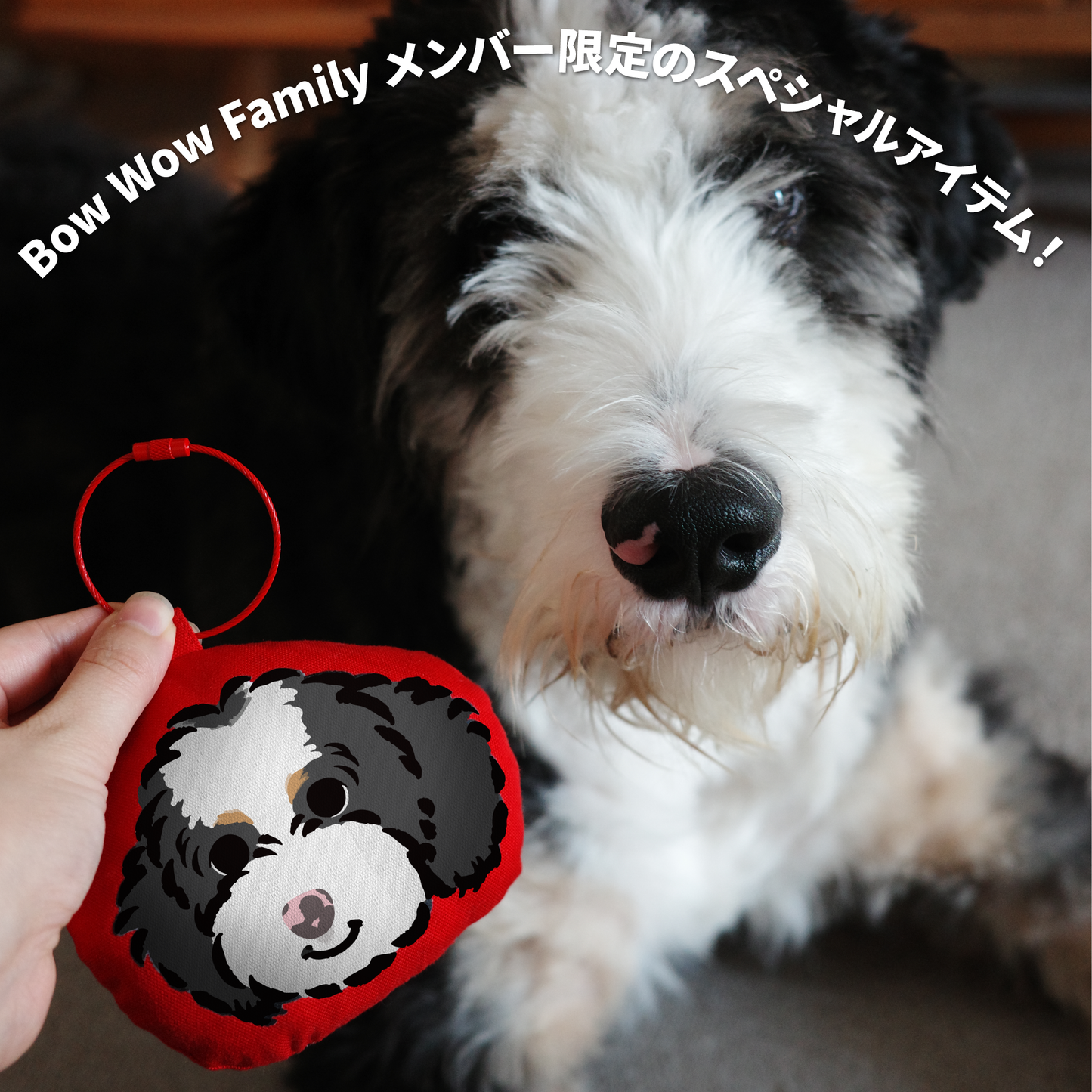 クッションキーホルダー【Bow Wow Family限定】