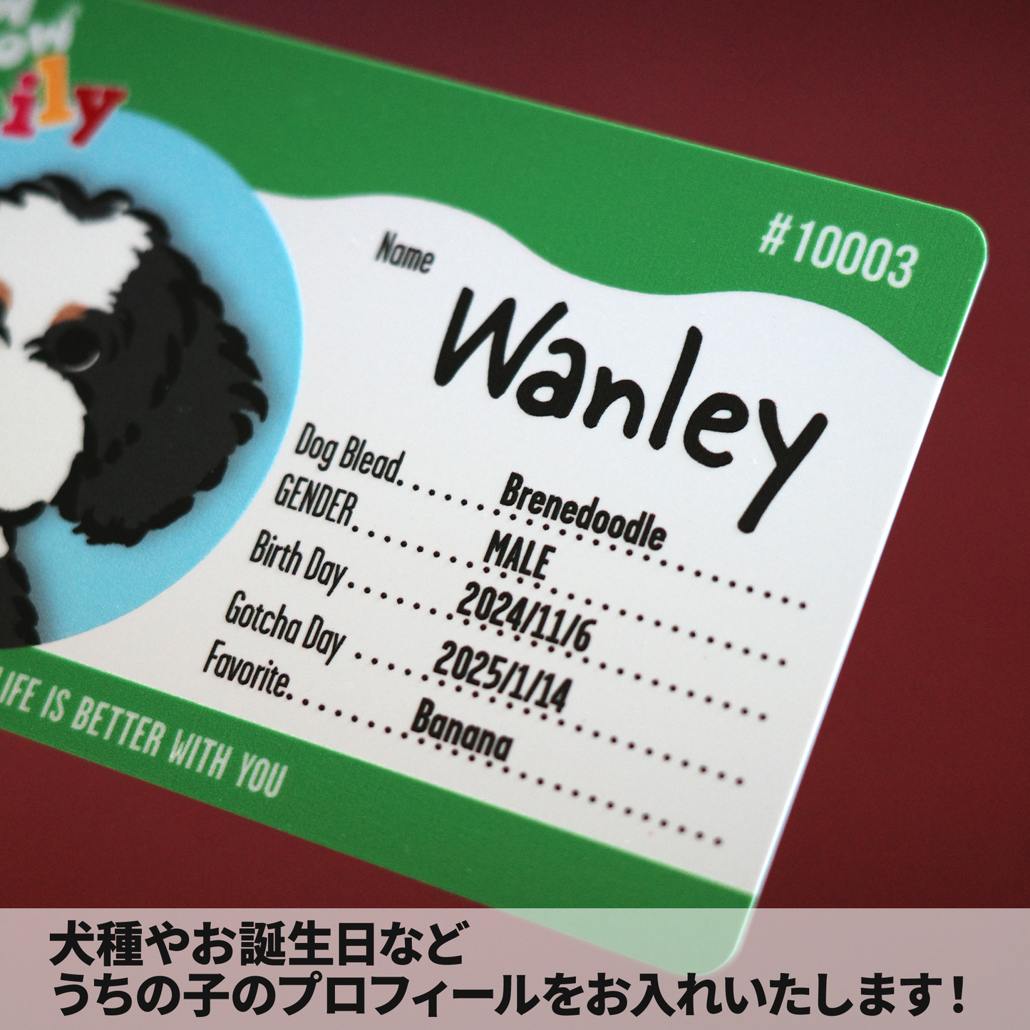 メンバーズカード【Bow Wow Family】