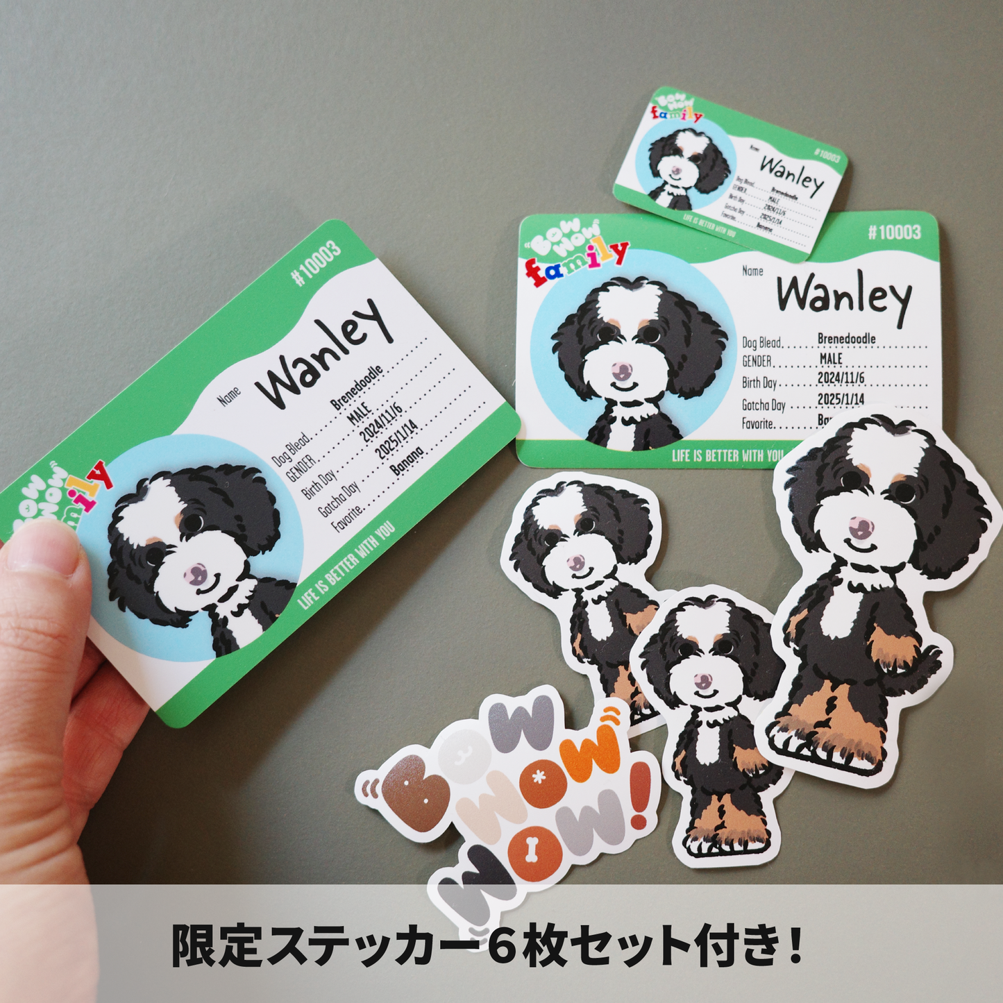 メンバーズカード【Bow Wow Family】