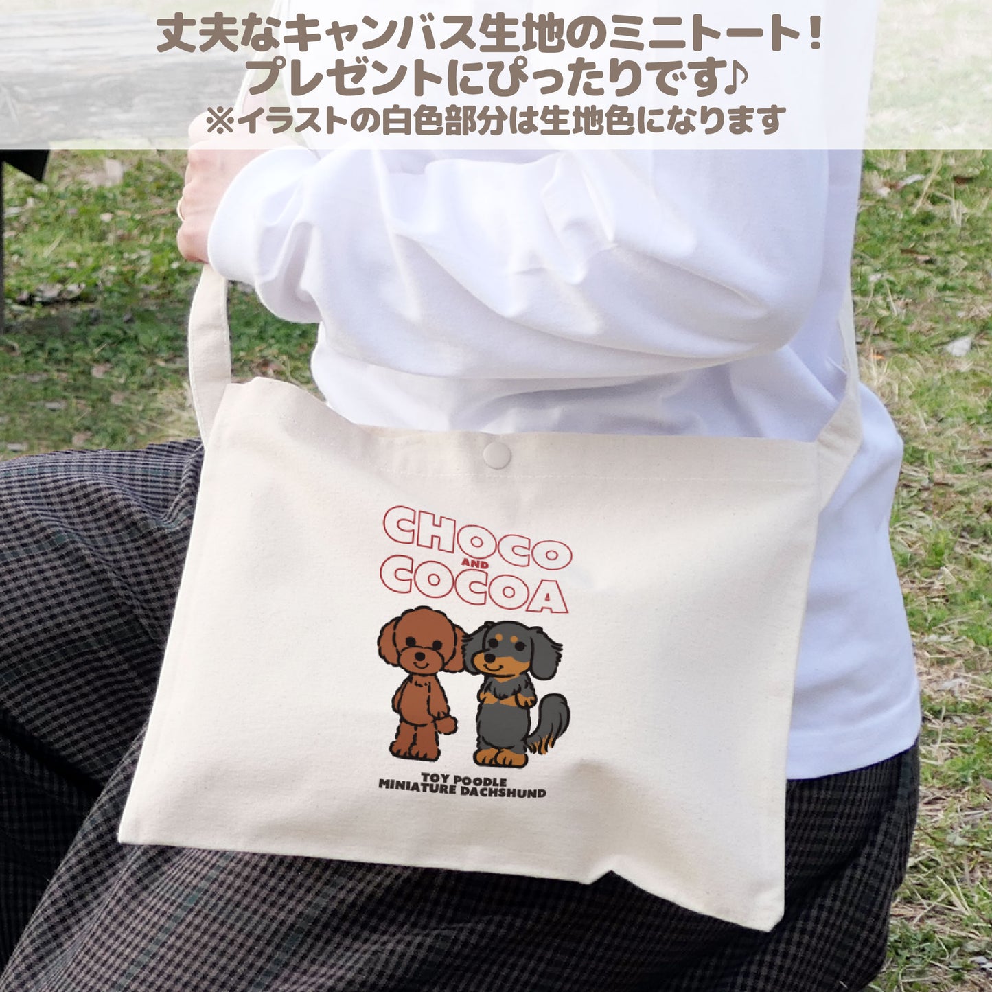 サコッシュ (モニターキャンペーン)