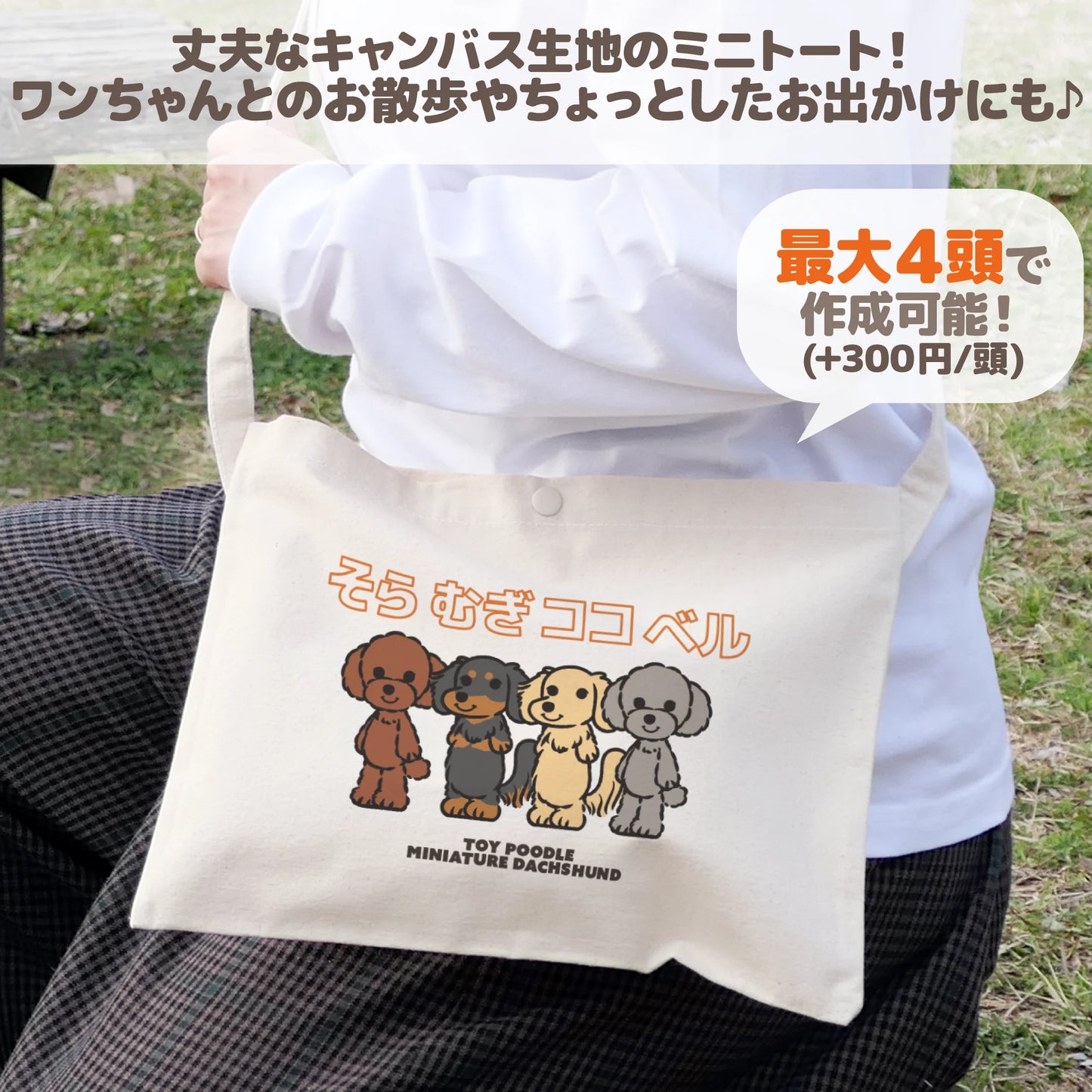 うちの子サコッシュ