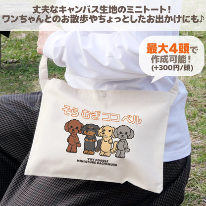 うちの子サコッシュ