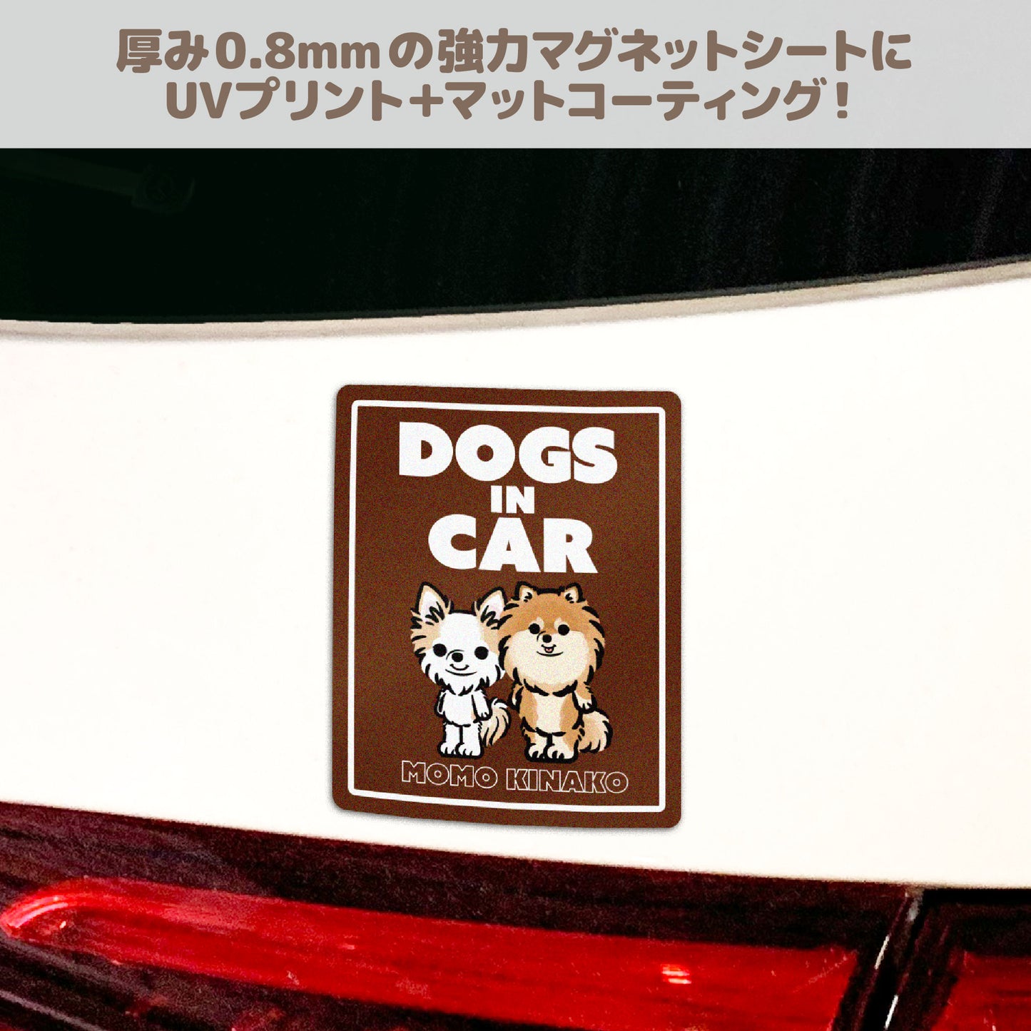 カーマグネット (モニターキャンペーン)