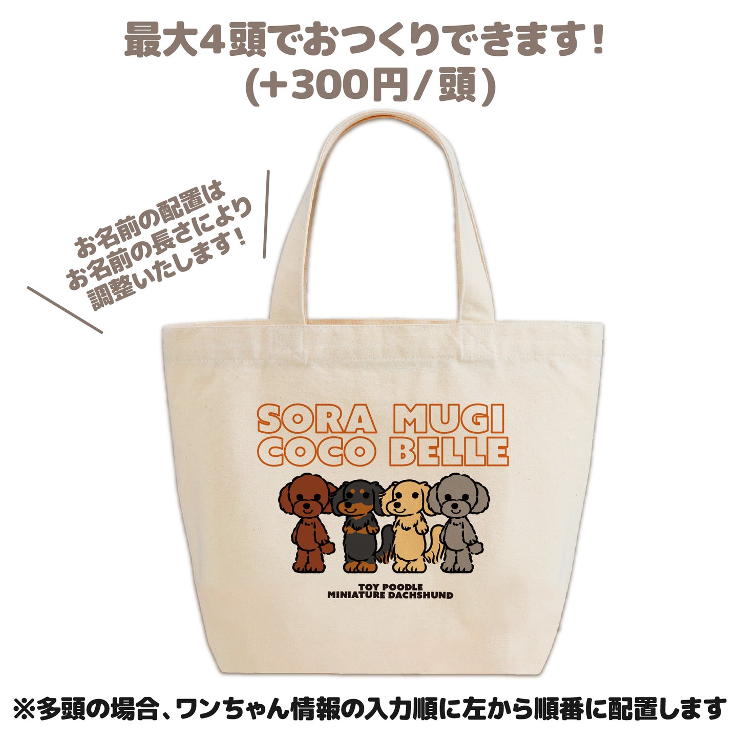 ミニトートバッグ (モニターキャンペーン)