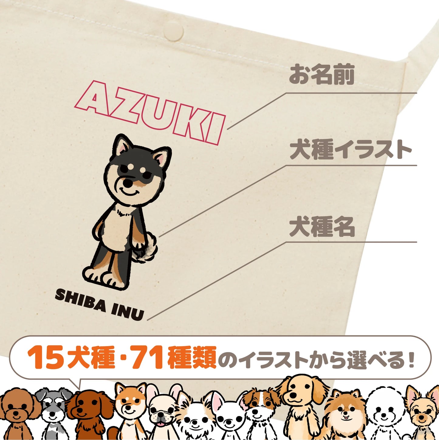 サコッシュ (モニターキャンペーン)