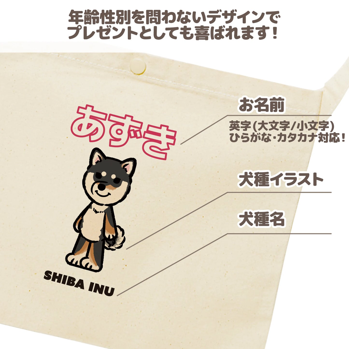 うちの子サコッシュ