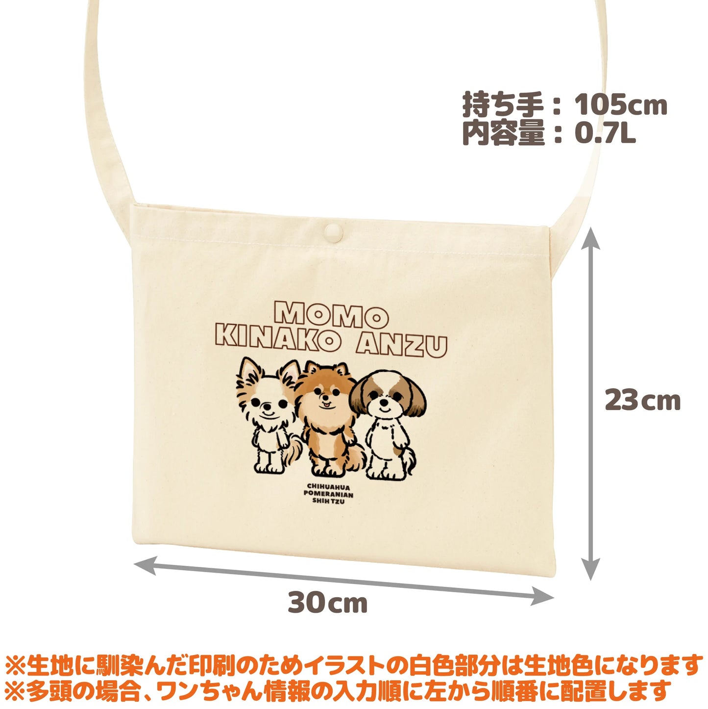 うちの子サコッシュ