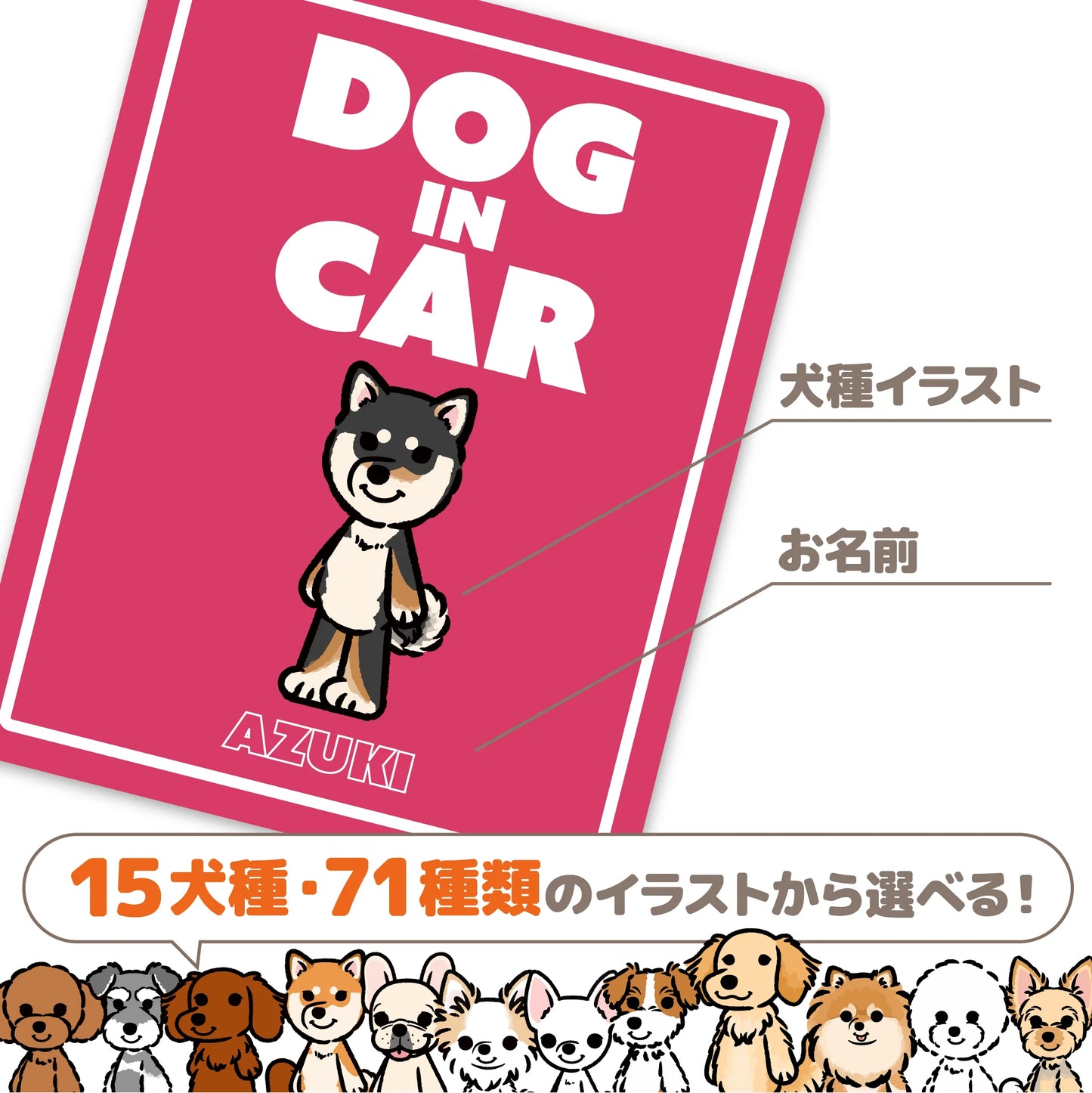 カーマグネット (モニターキャンペーン)