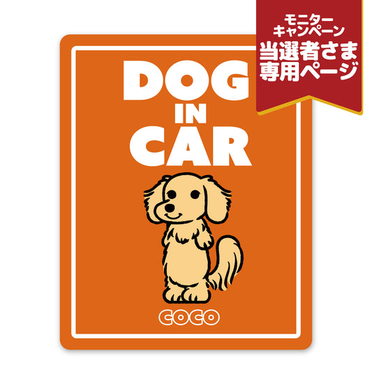 カーマグネット (モニターキャンペーン)