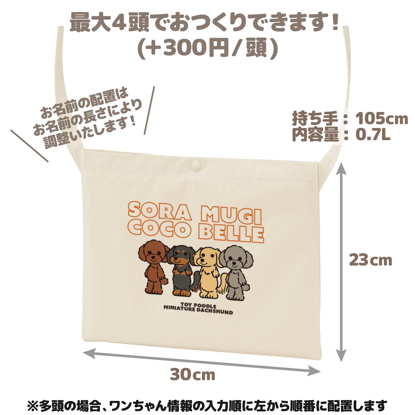 サコッシュ (モニターキャンペーン)