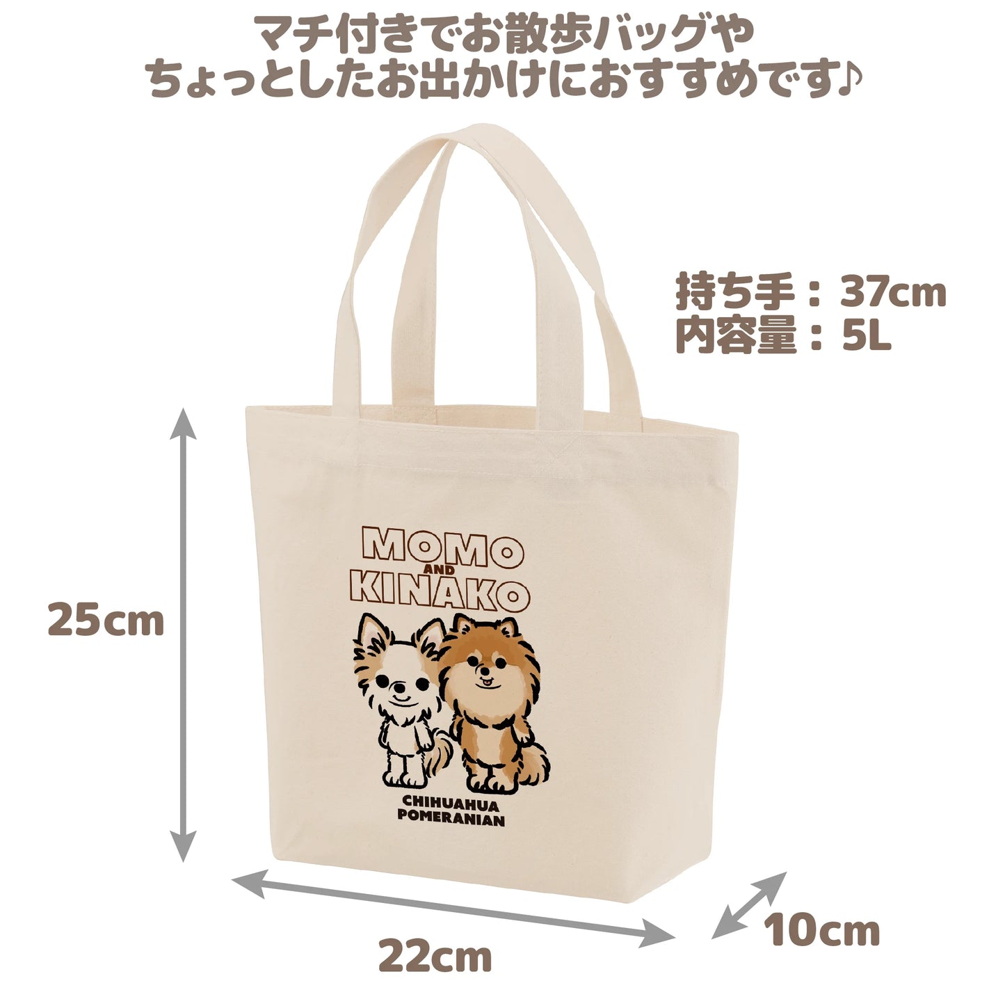 ミニトートバッグ (モニターキャンペーン)